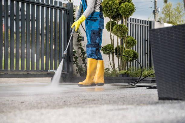 Best Building Exterior Washing  in Auburn, NY